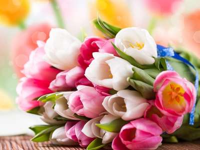 158565 tavaszi tulipán csokor